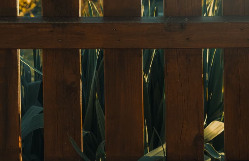 Stained wood privacy fence panels with garden plants growing along the base