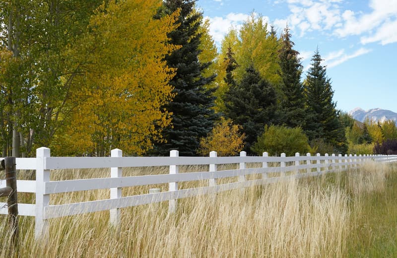 White vinyl rail fence lining a yard with autumn trees behind it
