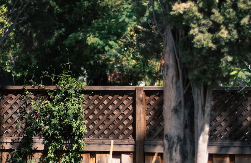 Stained wood privacy fence with lattice top enclosing a backyard